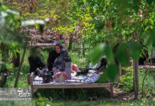 گزارش تصویری | همایش پیاده روی خانوادگی در پردیس معدن آموزشی 